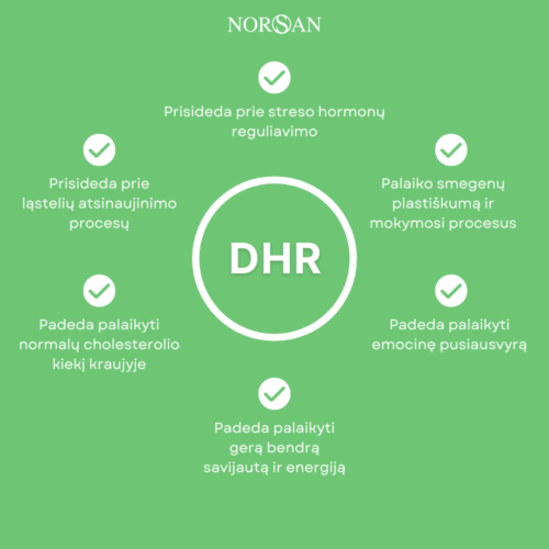 Omega-3 Alga, aliejus, 50 ml - Image 6