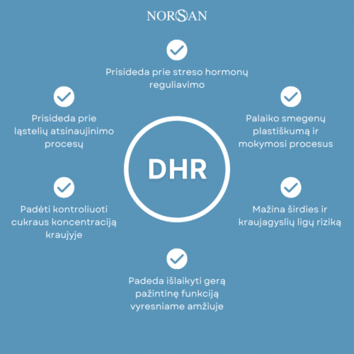 Omega-3 Arktis komplektas - Image 6
