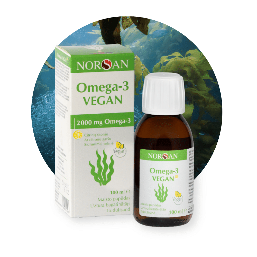 Omega-3 Vegan, aliejus, 100 ml